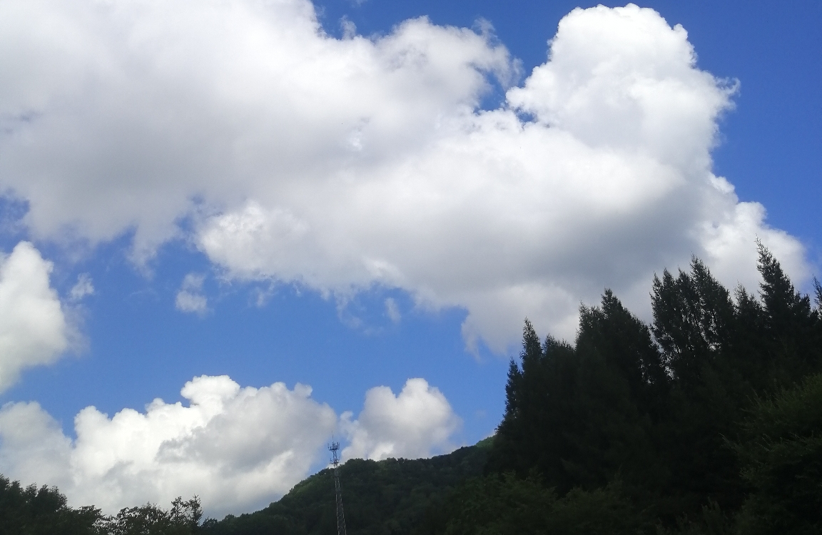 情绪是如何在大脑中产生的