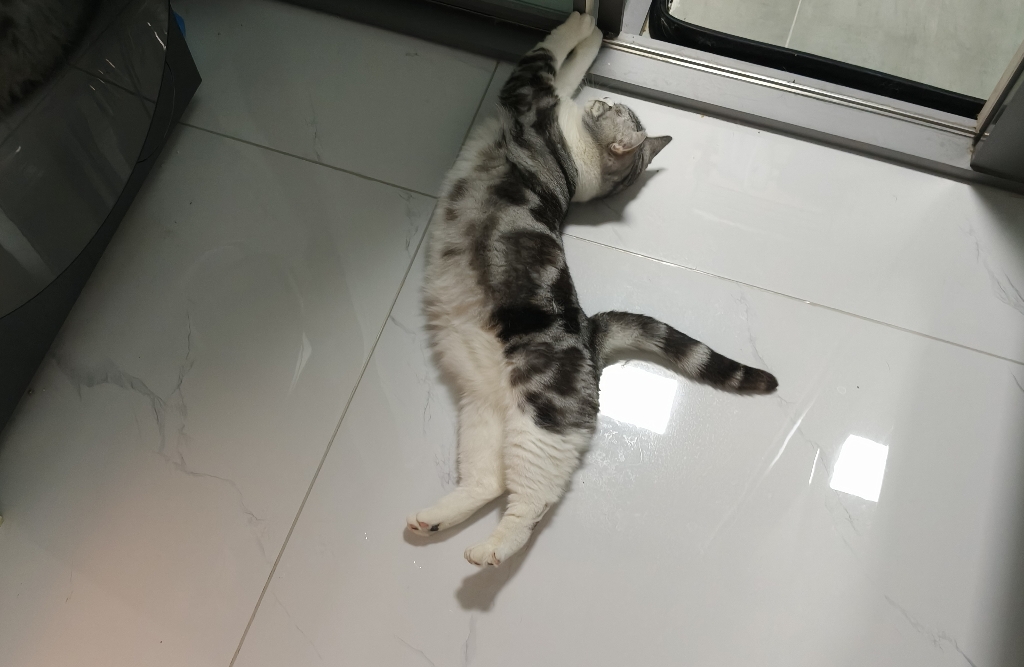 成长型思维与固定型思维