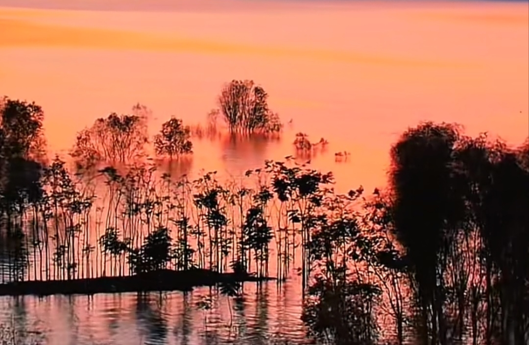 如何理解“青春期叛逆”？