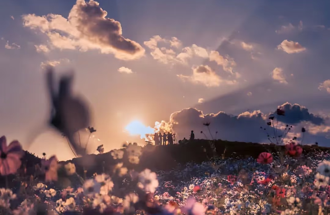 共情成为负担，如何设立边界感