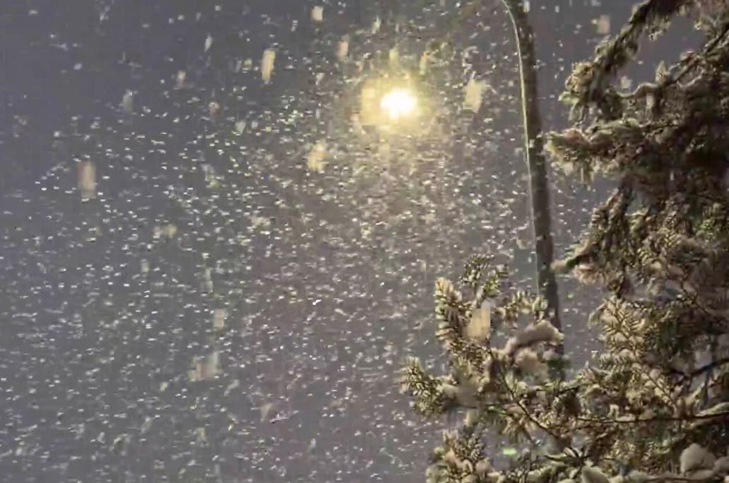 从心理学角度剖析现代女性复杂而深刻的情感需求一