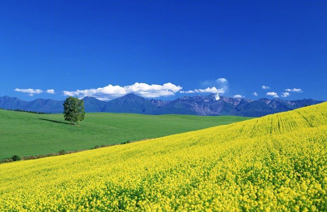 如何打破精神内耗，停止胡思乱想？