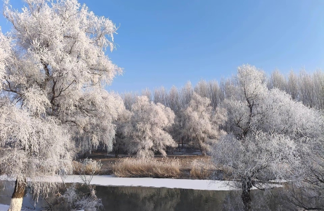 如何改变“受害者心态”？
