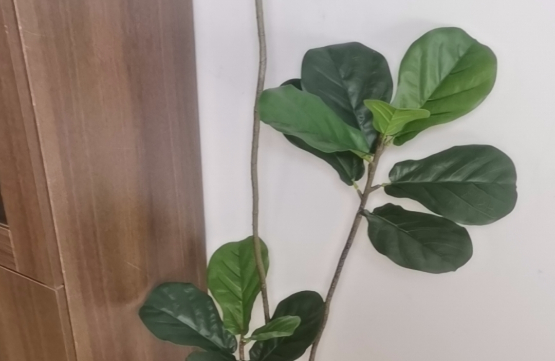 ⚓ 关系锚点重置：当稳定的依赖变成僵化的捆绑