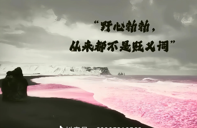 如何委婉但清晰地表达不同的意见，尤其是在面对长辈或上级时？