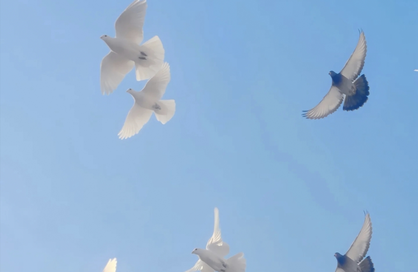 如何通过观察他人的行为习惯来识别其心理反应信号？