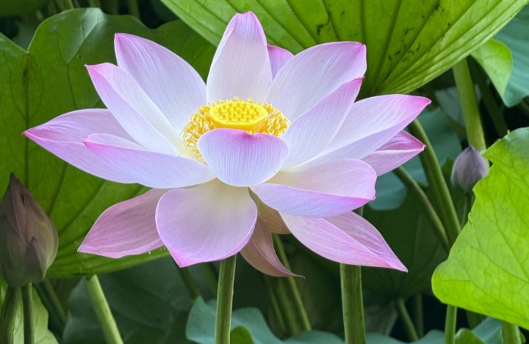 自虐倾向成因及应对