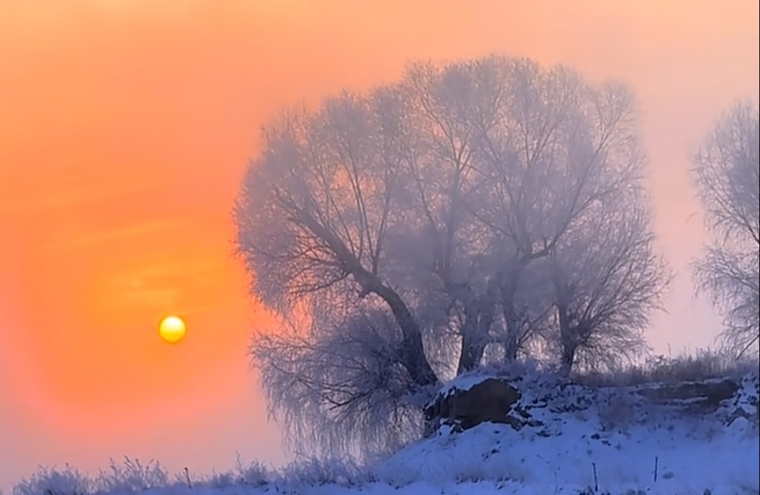 如何扮演好“各种关系中的角色”？