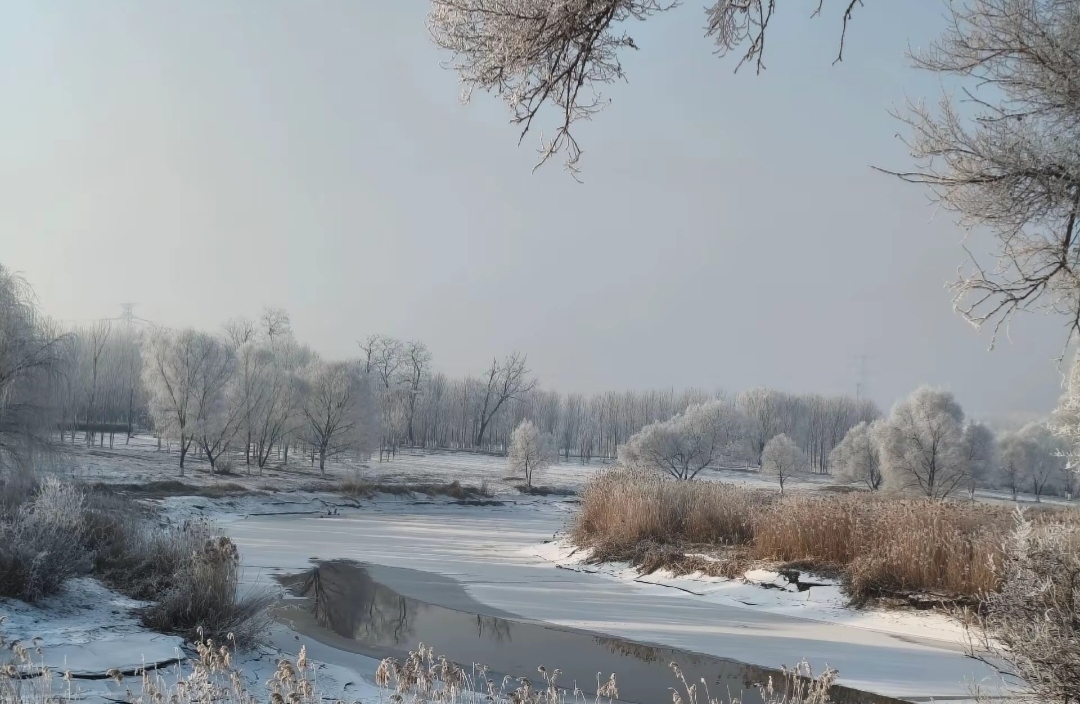 真正的爱不是“改造”，是“允许对方做自己”。