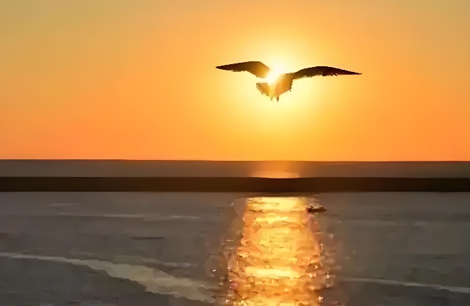 分手后的拉扯：你放不下的是习惯，不是那个人