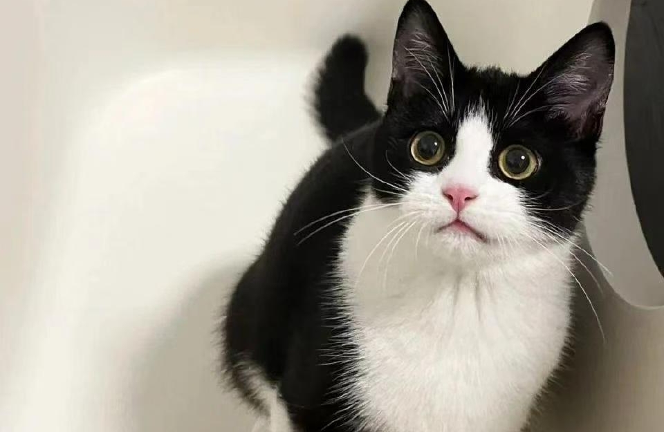 《被讨厌的勇气》经典语录之二