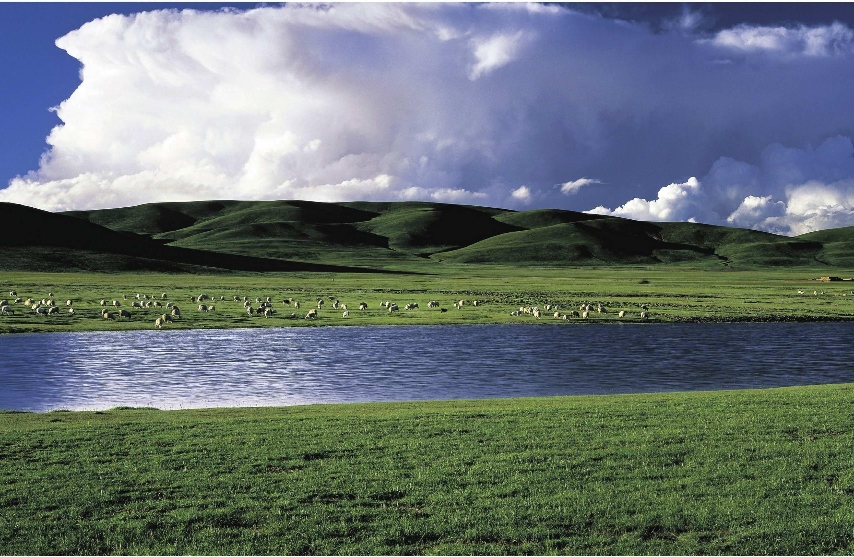 给台阶是智慧，顺阶下是温柔，不是认输，而是更珍惜这段关系