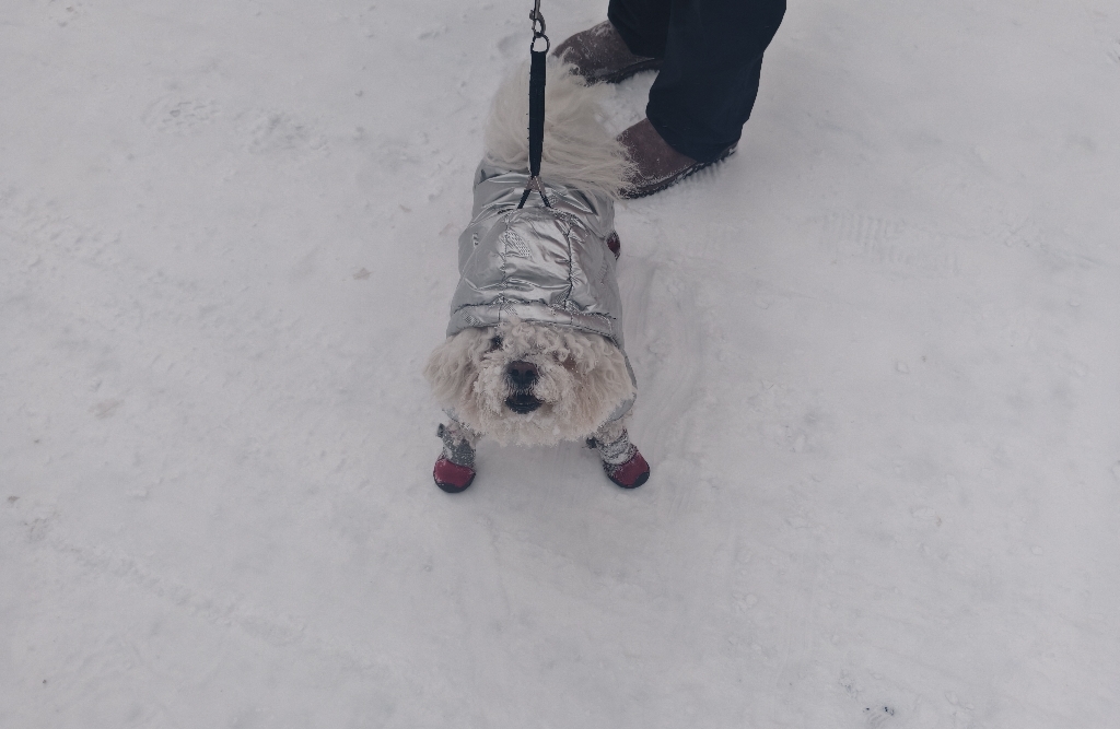 出轨后修复的可能路径与必须避开的陷阱