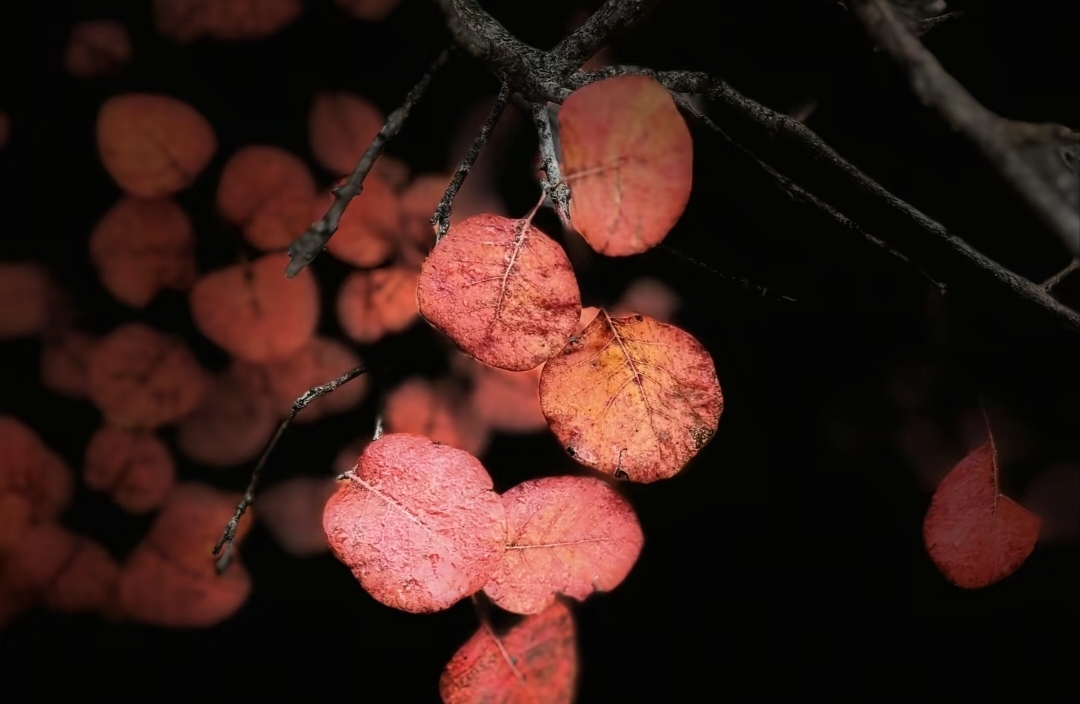 人际交往中如何“划清自我边界”？