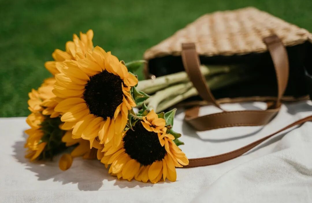 完美主义者的隐形陷阱：当“自我设限”成为心灵避难所