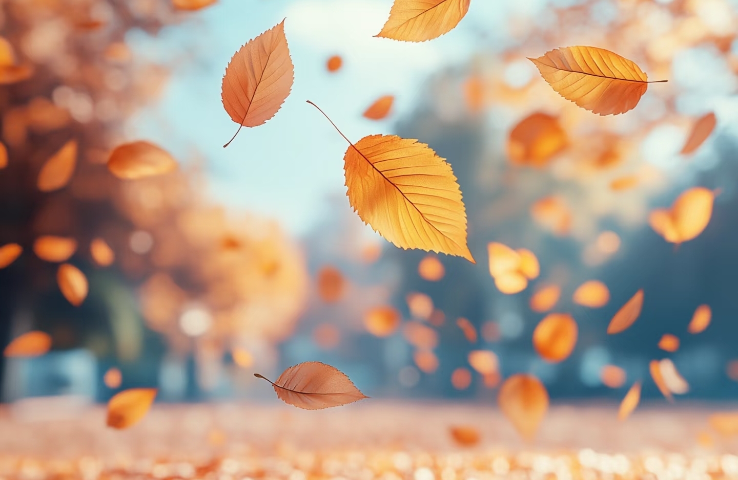 心情不好时，如何调解？