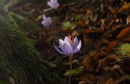 职场中如何做好向上管理？