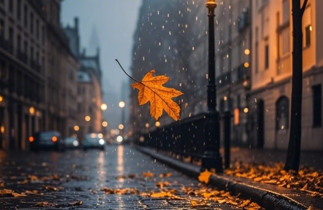 出轨后修复的可能路径与必须避开的陷阱