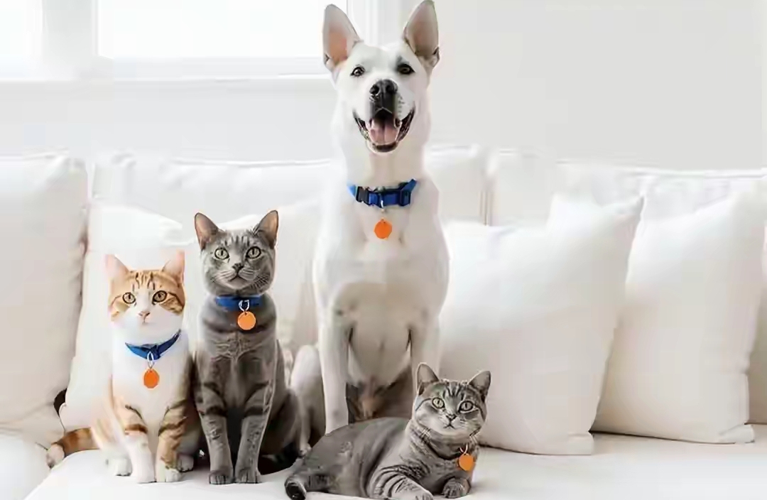 三分钟热度？四个底层逻辑重塑持久行动力