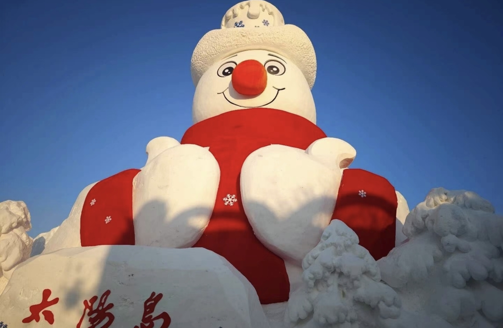 月度情感重建：每日一练，重拾内心平静