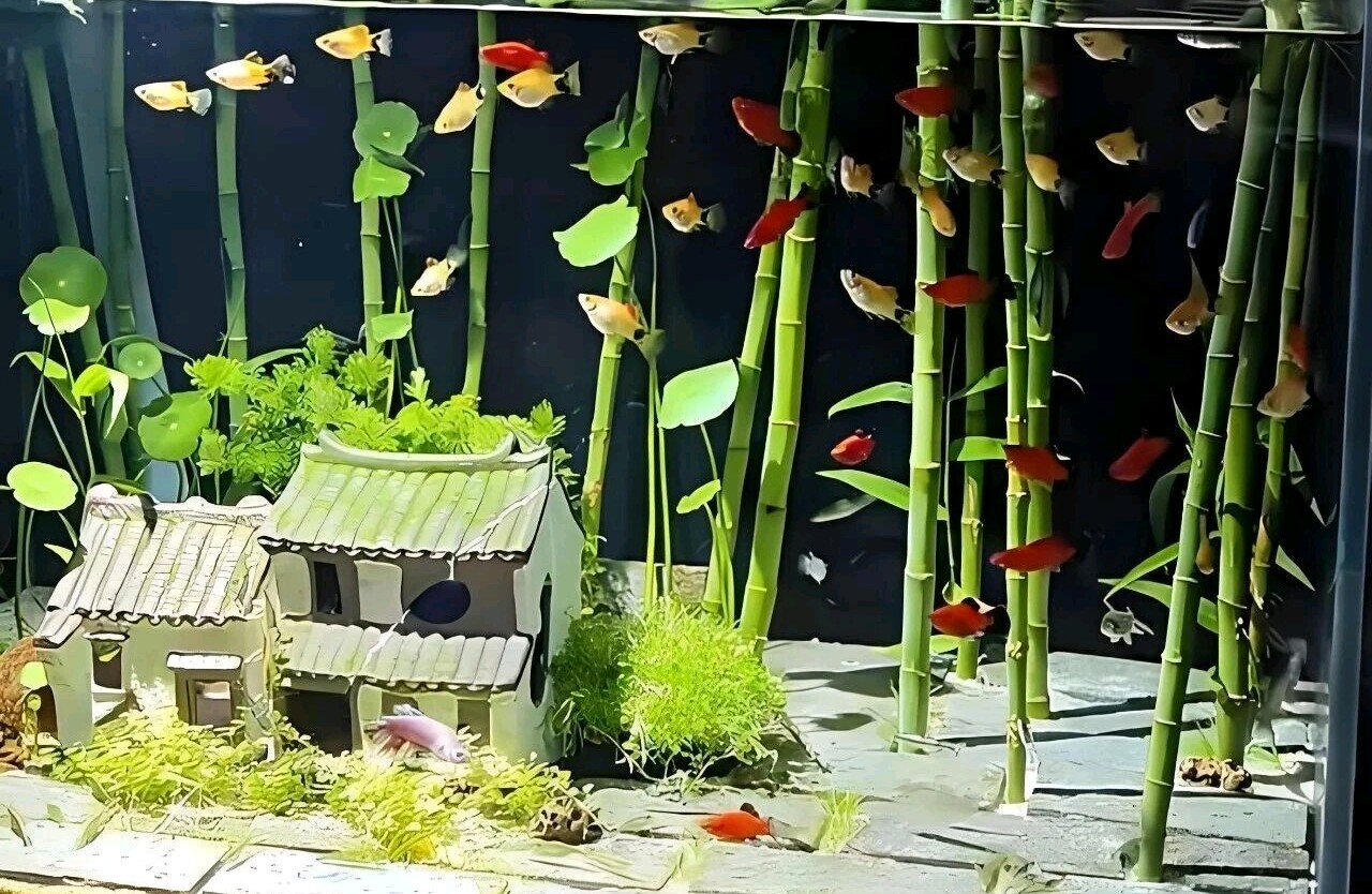 出轨后修复的可能路径与必须避开的陷阱