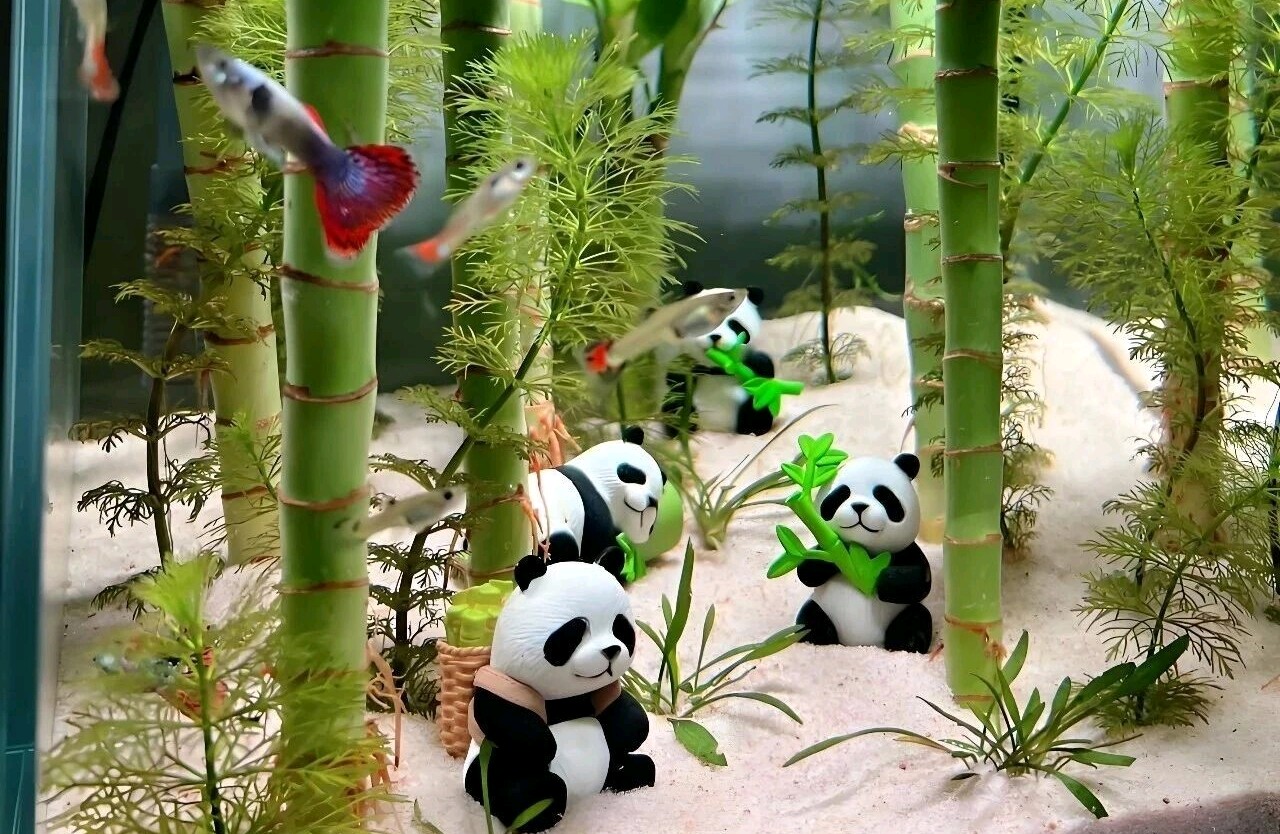 人群中普遍存在哪些心理现象？