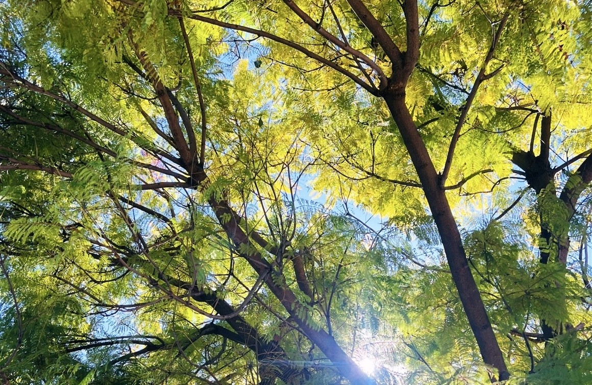 亲密关系中，如何倾听才能真正产生联结？