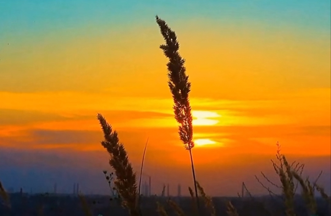 如何应对春节期间的“孤独感”？