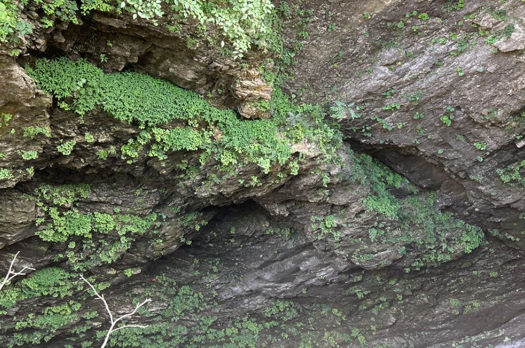 明明是他的错，道歉的却是我？