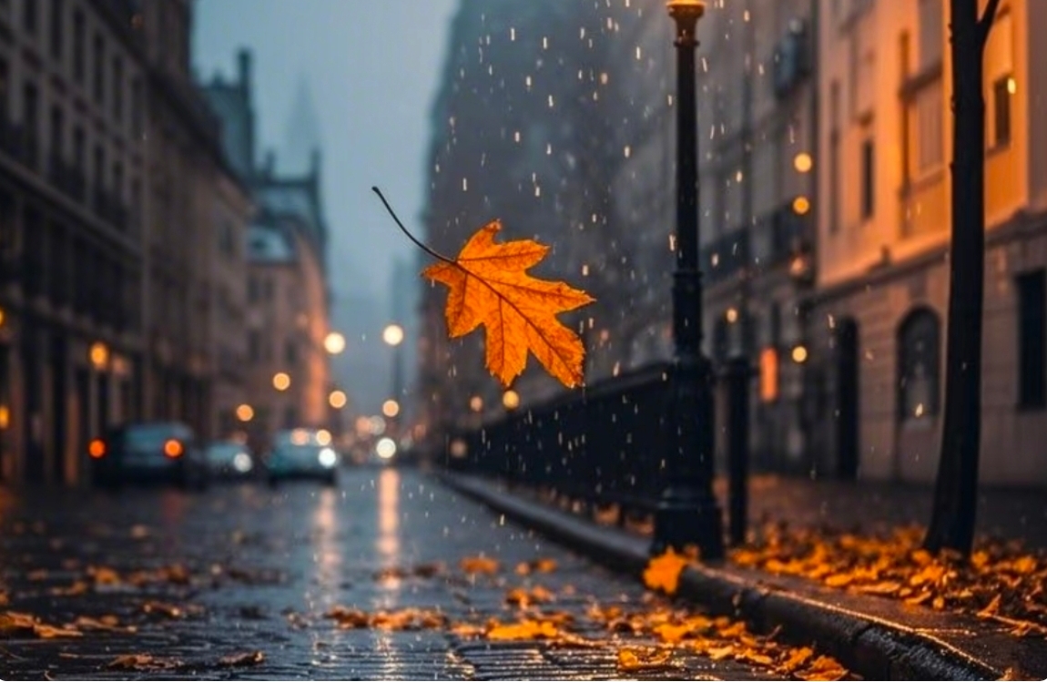 夫妻吵架后怎么办？3步修复感情，越吵越近