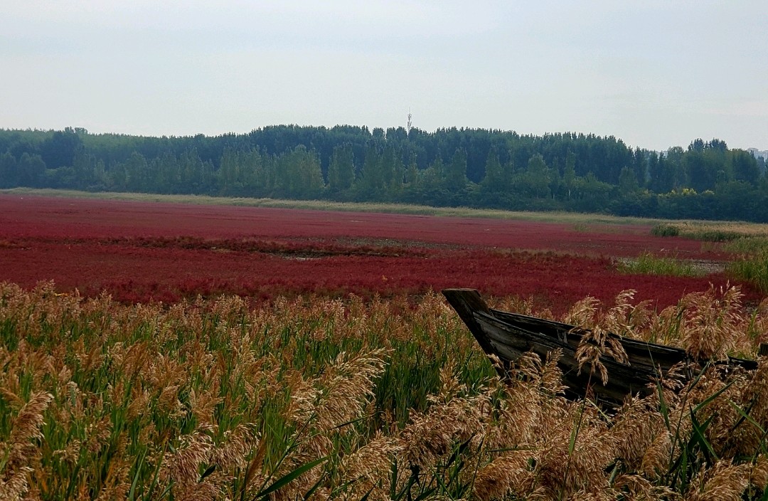 如何化解自己的愤怒情绪？