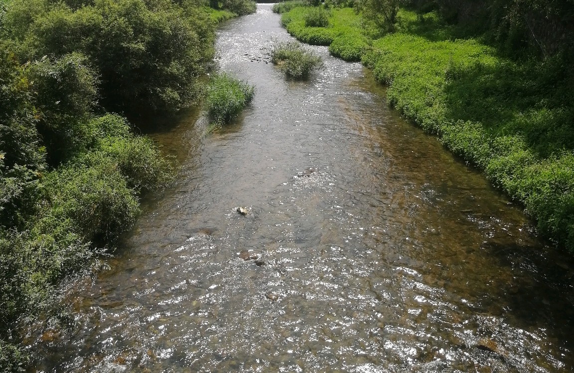 如何识别自己的情绪状态