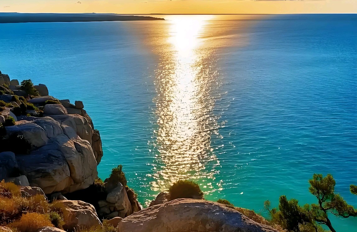 爱情中的化学反应与情感依赖