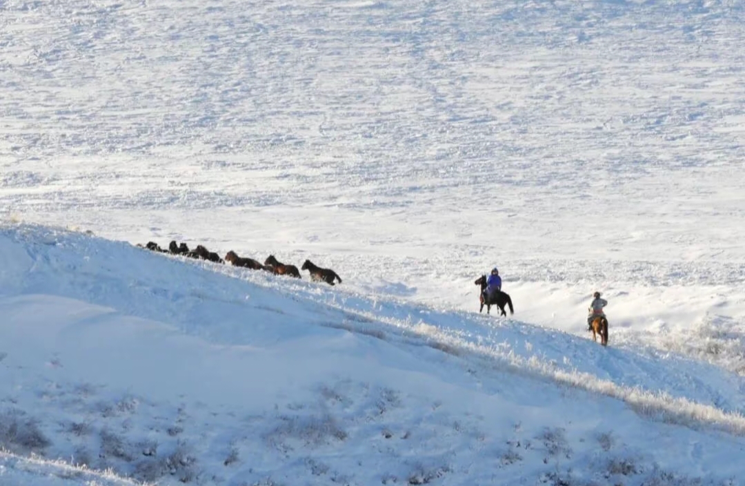 曾国藩的为人处世之道