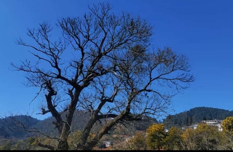 如何处好婆媳关系？