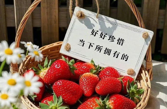 夫妻之间的相处之道