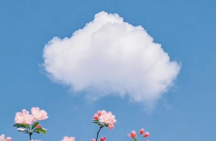 被KPI抽着转，被性价比按着算