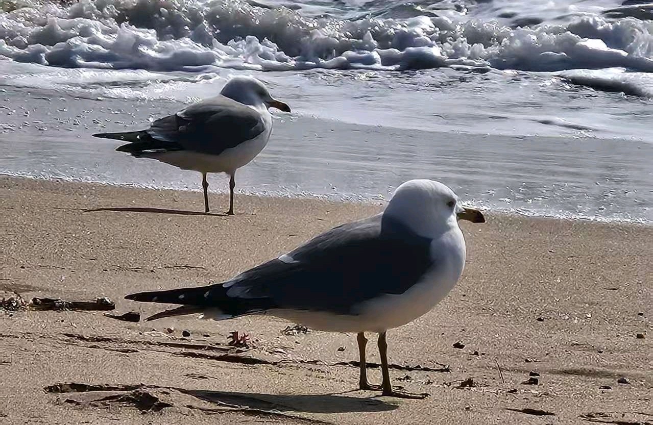 相爱的人为什么还会出轨？