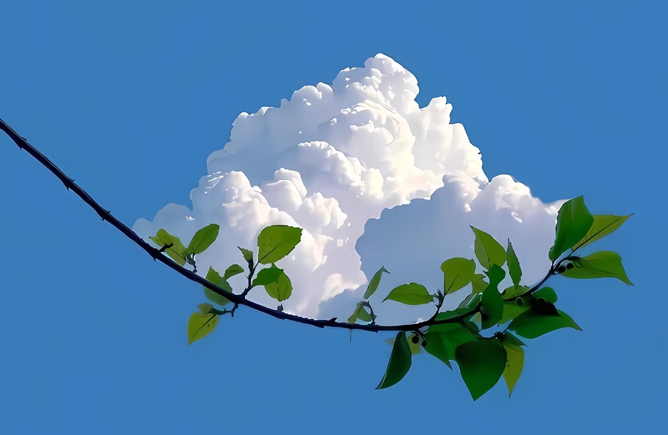 怎样建立信任，信任才是人与人之间最难的