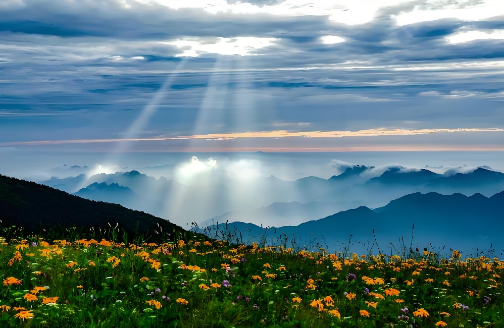 原生家庭如何塑造了你的“回避型”恋爱模式？💔