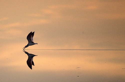 家长如何判断孩子是否有抑郁倾向？