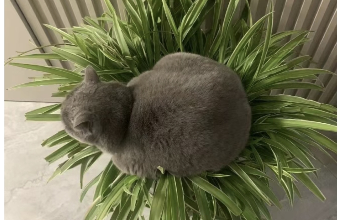 终结冷暴力：3招打破沉默，撬开对方的嘴