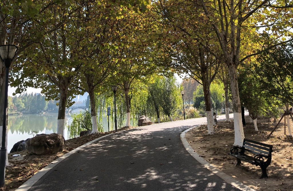 荣格人格面具理论