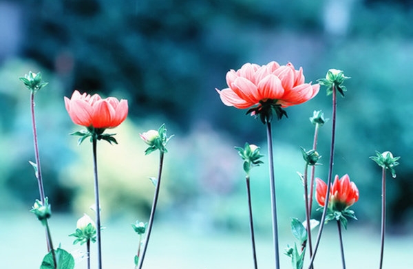 如何有效地管理情绪？