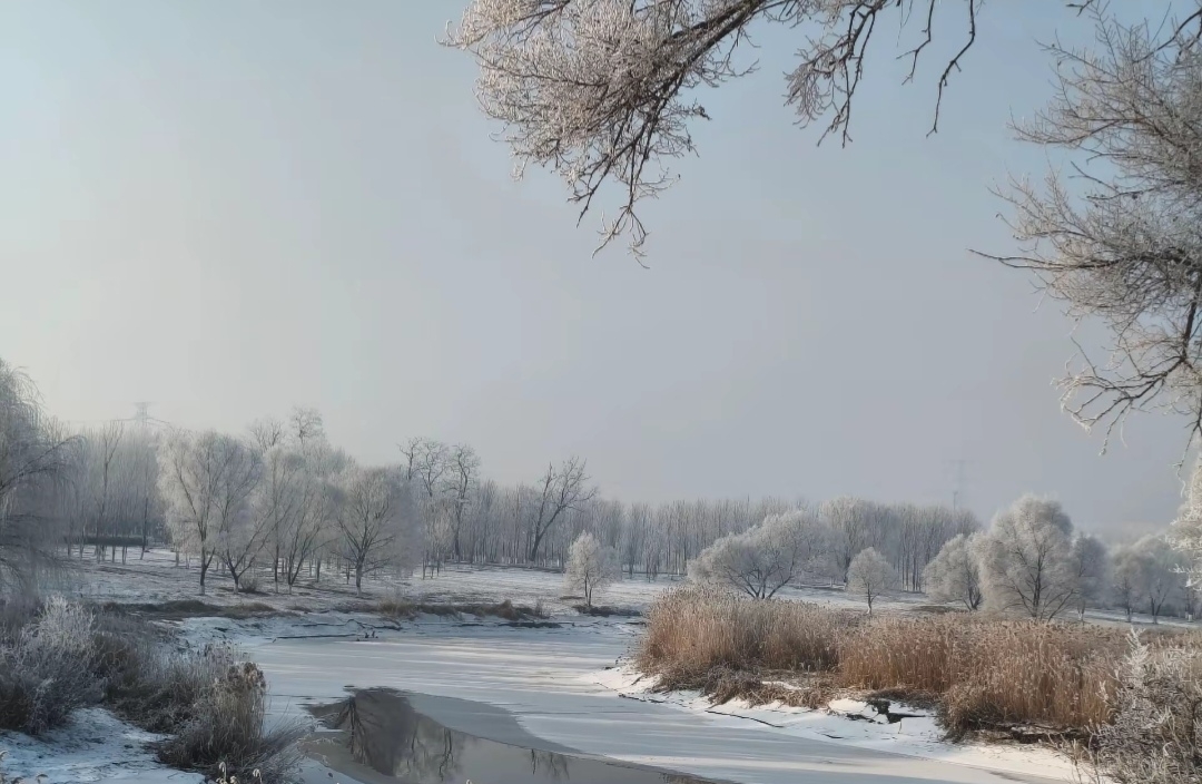 女人强势是婚姻的灾难吗？