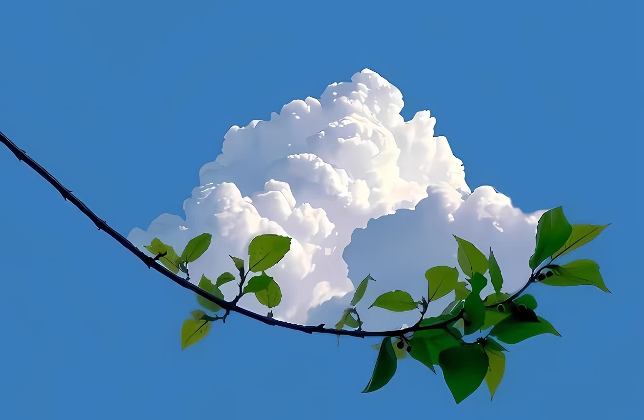 你上次觉得“过不去”的事，后来是怎么过去的？