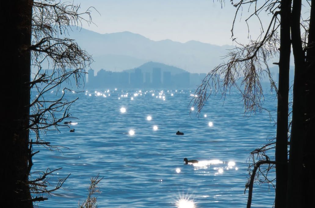 ❇婆媳相处手记：最好的关系，是有边界的尊重，有温度的距离💫