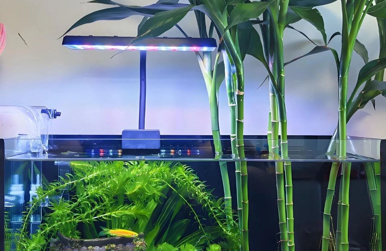 三步把“讨好型委屈”变成可捍卫的边界清单