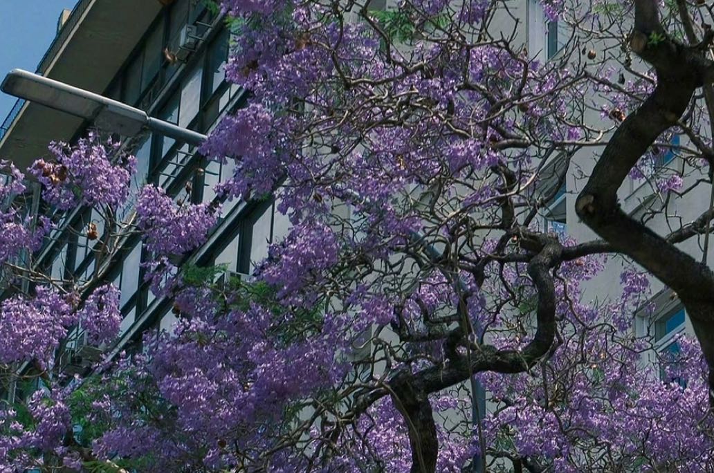 自愈与新生视角下的三次内在蜕变