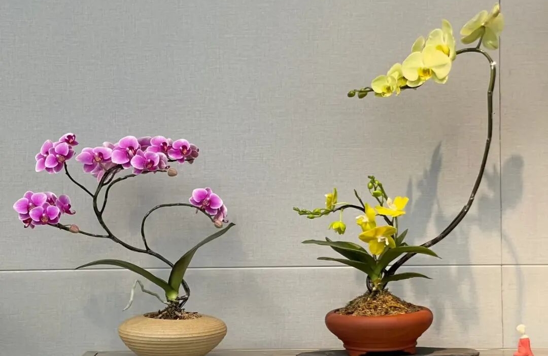 婚姻里，两个人沟通有问题怎么办